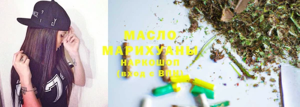 индика Няндома