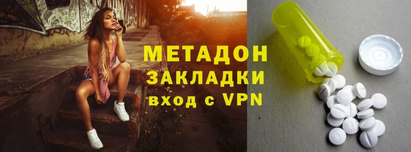 индика Няндома