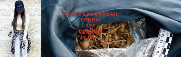 эйфоретик Новокубанск