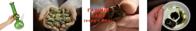 прущие грибы Новозыбков