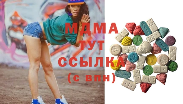 прущие грибы Новозыбков