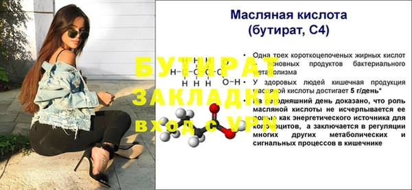 индика Няндома