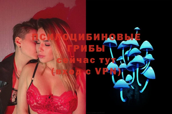 герыч Новодвинск