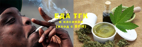 прущие грибы Новозыбков