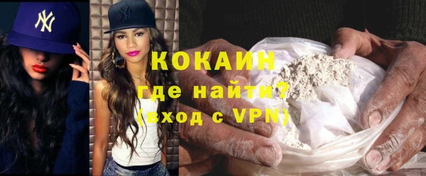 прущие грибы Новозыбков