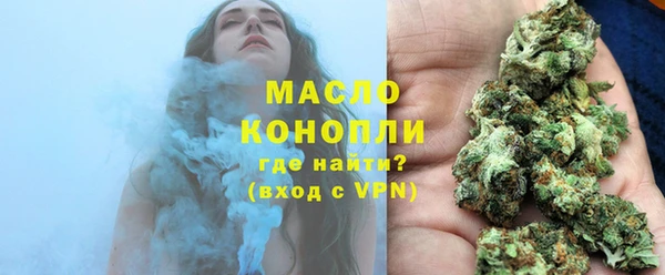 прущие грибы Новозыбков
