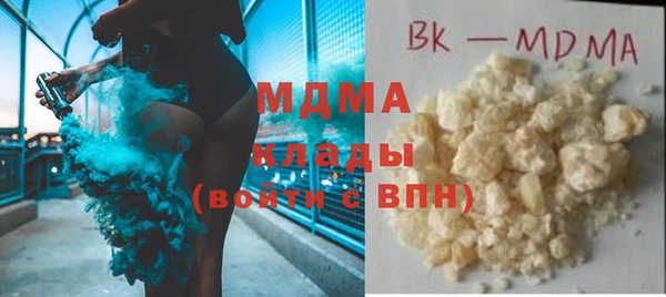 индика Няндома