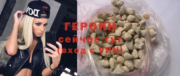 индика Няндома