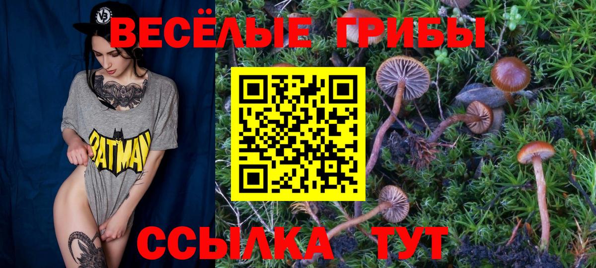 наркотики  Вход с VPN  Галлюциногенные грибы MAGIC MUSHROOMS  Серов  Галлюциногенные грибы мицелий 