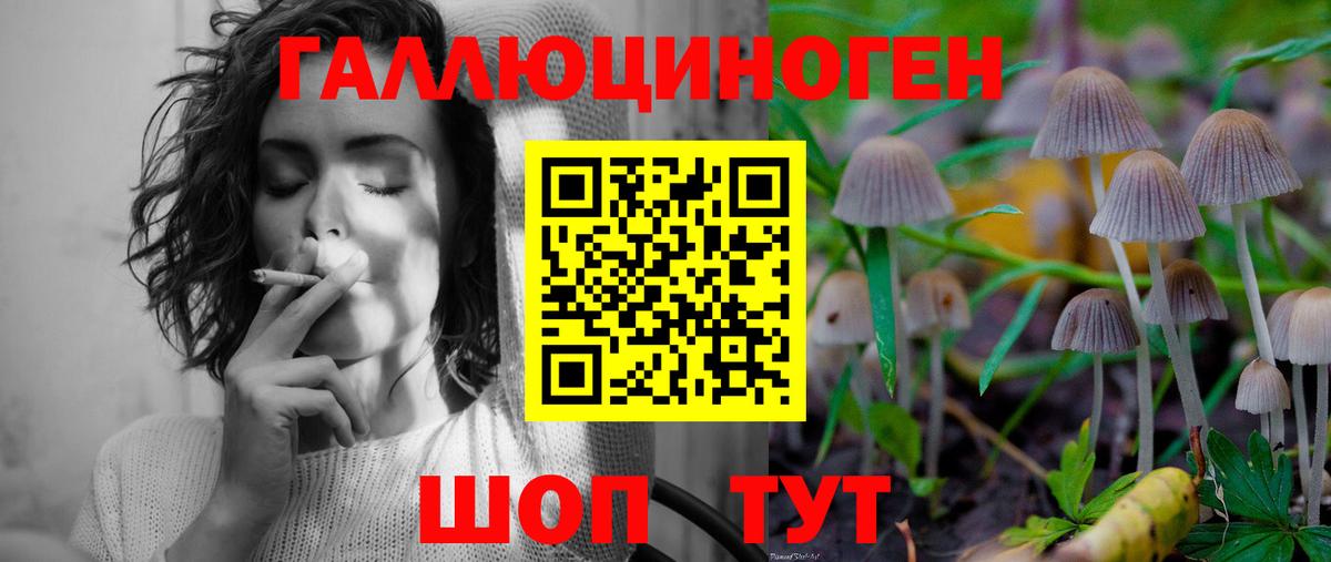 Галлюциногенные грибы Psilocybine cubensis Серов
